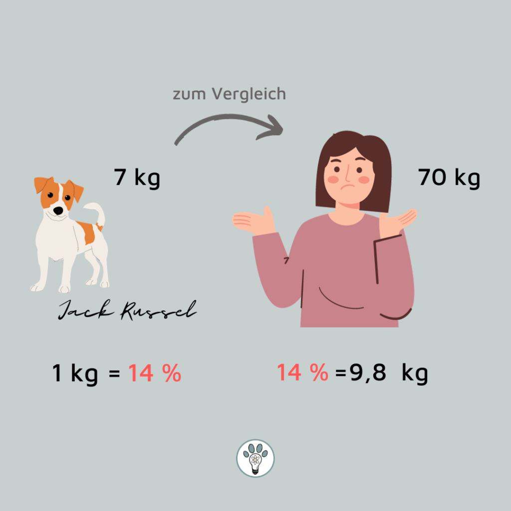 Ein Jack Russel Terrier mit einem Kilogramm zu viel entspräche etwa 9,8 Kilogramm einer normalgewichtigen 70 Kilogramm Person - 14 Prozent