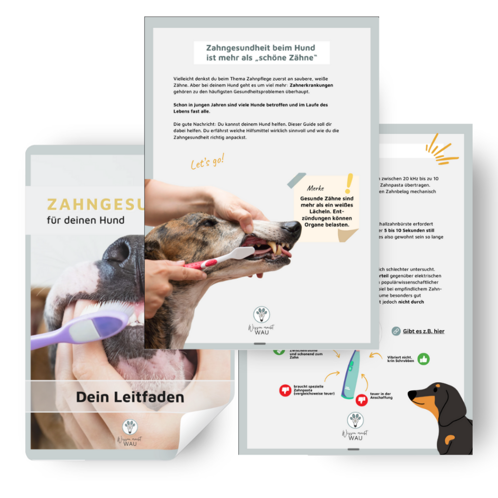 Mockup des digitalen Zahnputz Guide Wissenshefts zur Zahngesundheit beim Hund mit Cover und Inhaltsseiten
