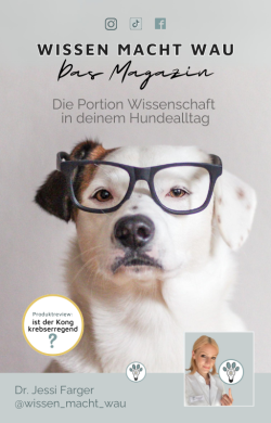 Das Magazin - 1st